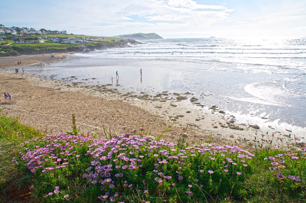 Cornwall Seascape