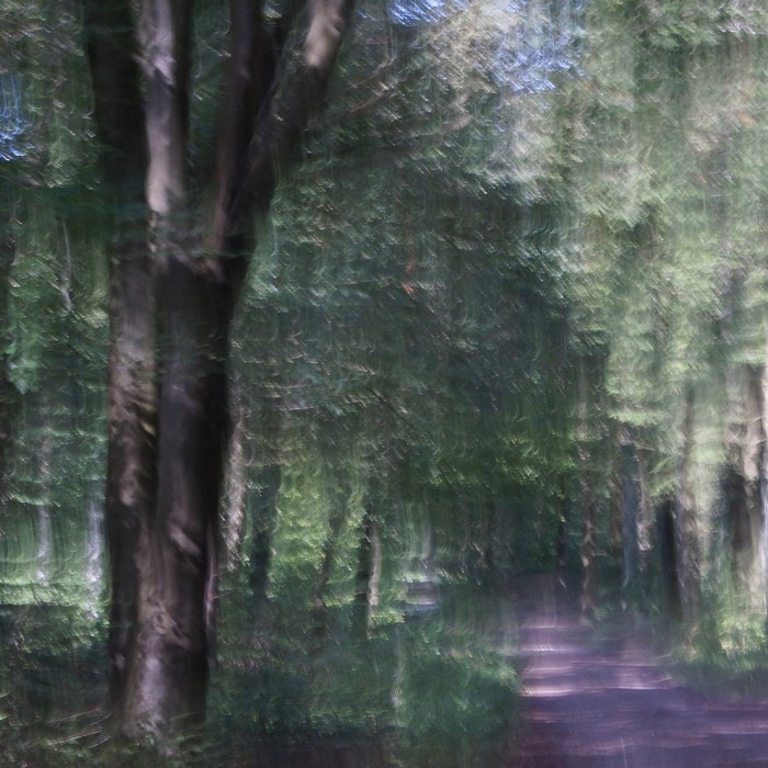 Lightness