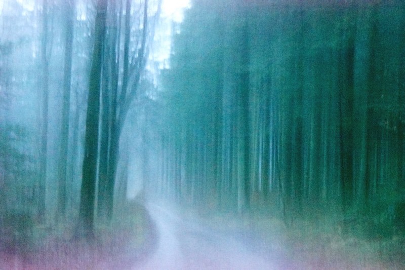 Wandering memories
