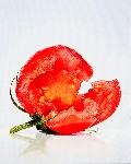 Tomato / Tomate