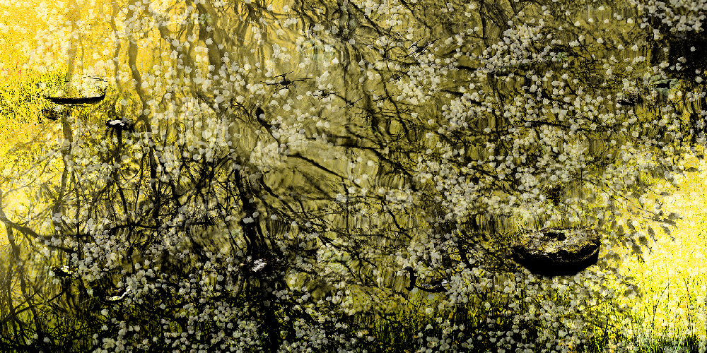Giverny