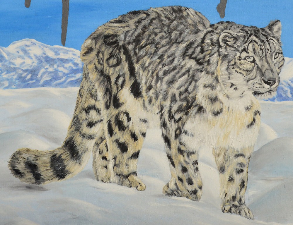 Snow leopard fight against hunters