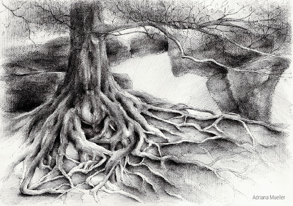 Root and sandstone